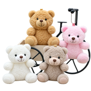 Mini Teddy Bears Collection