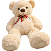 Giant Teddy Bears Collection