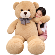 Giant Teddy Bears Collection