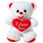 Valentine Teddy Bear Collection