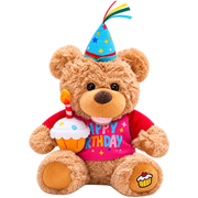 Birthday Teddy Bear Plush Collection