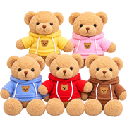 Clothed Teddy Bear Collection