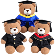 Clothed Teddy Bear Collection