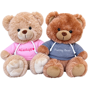 Clothed Teddy Bear Collection