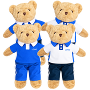 Clothed Teddy Bear Collection