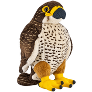 Falcon Plush Collection