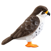 Falcon Plush Collection