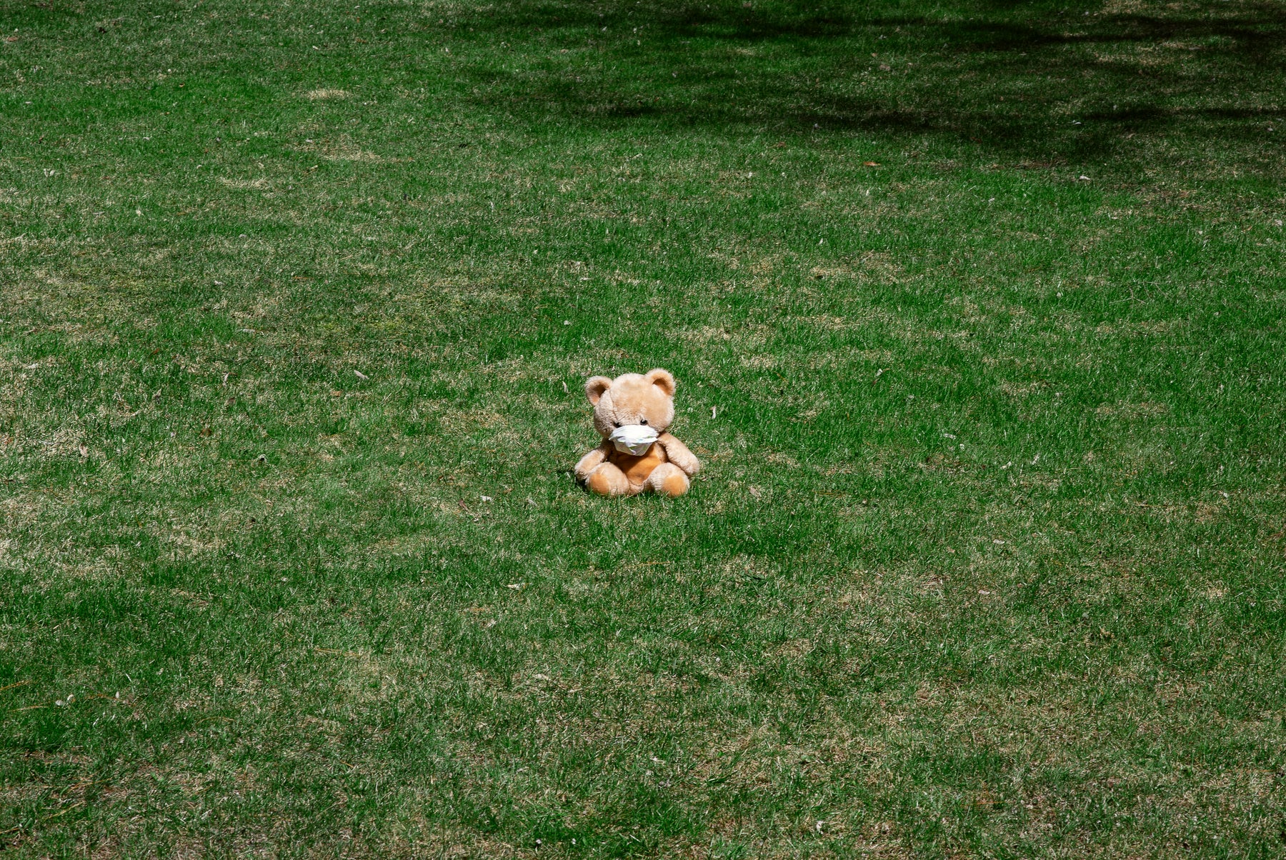 Plush products made with personality. Partnerships built with care.