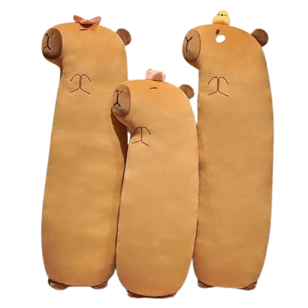 Long Pillows Collection